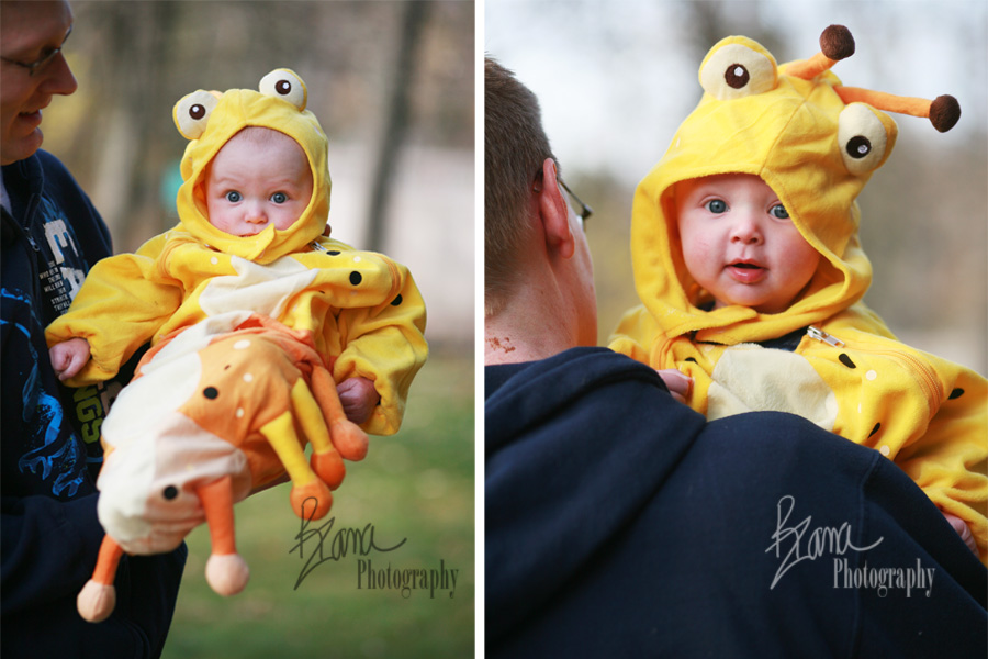 CollagecaterpillargregA