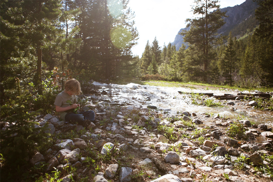 noahmountainswritingstamp