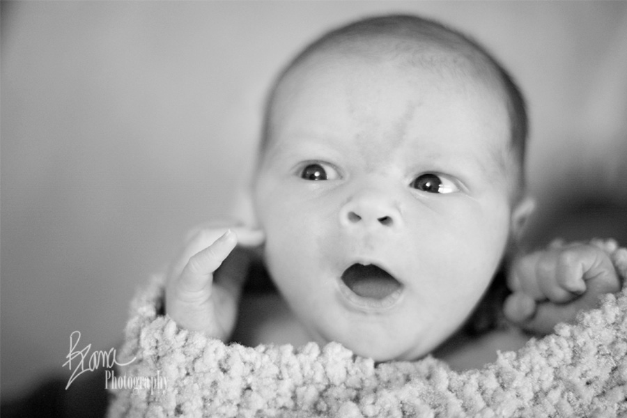 connoropenmouthstamp