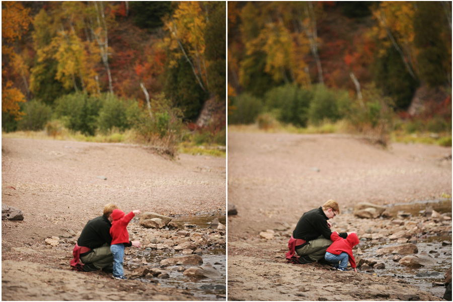 collagegooseberrybeach