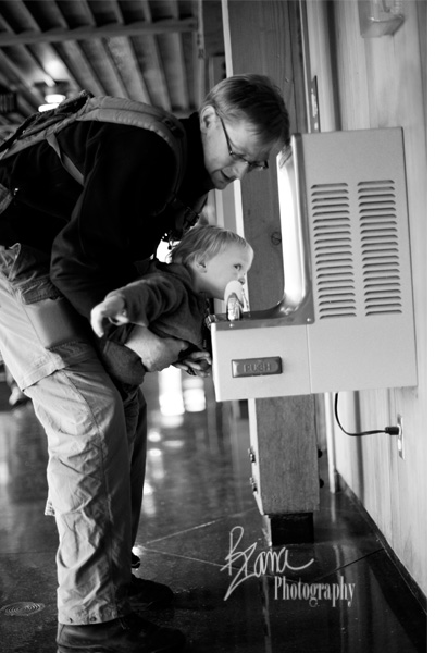 drinkingfountainstamp