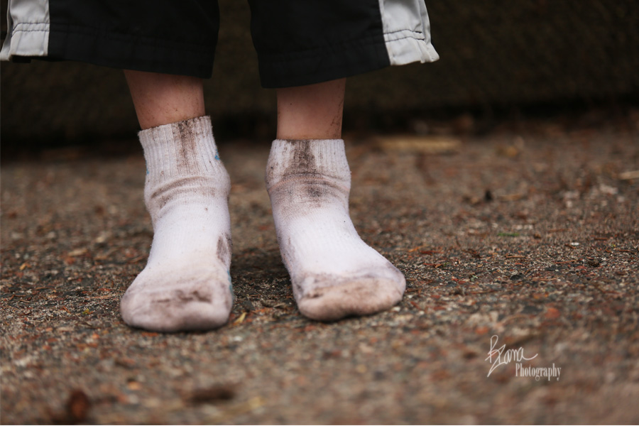 cougarchasesocksstamp